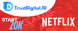 Netflix Premium